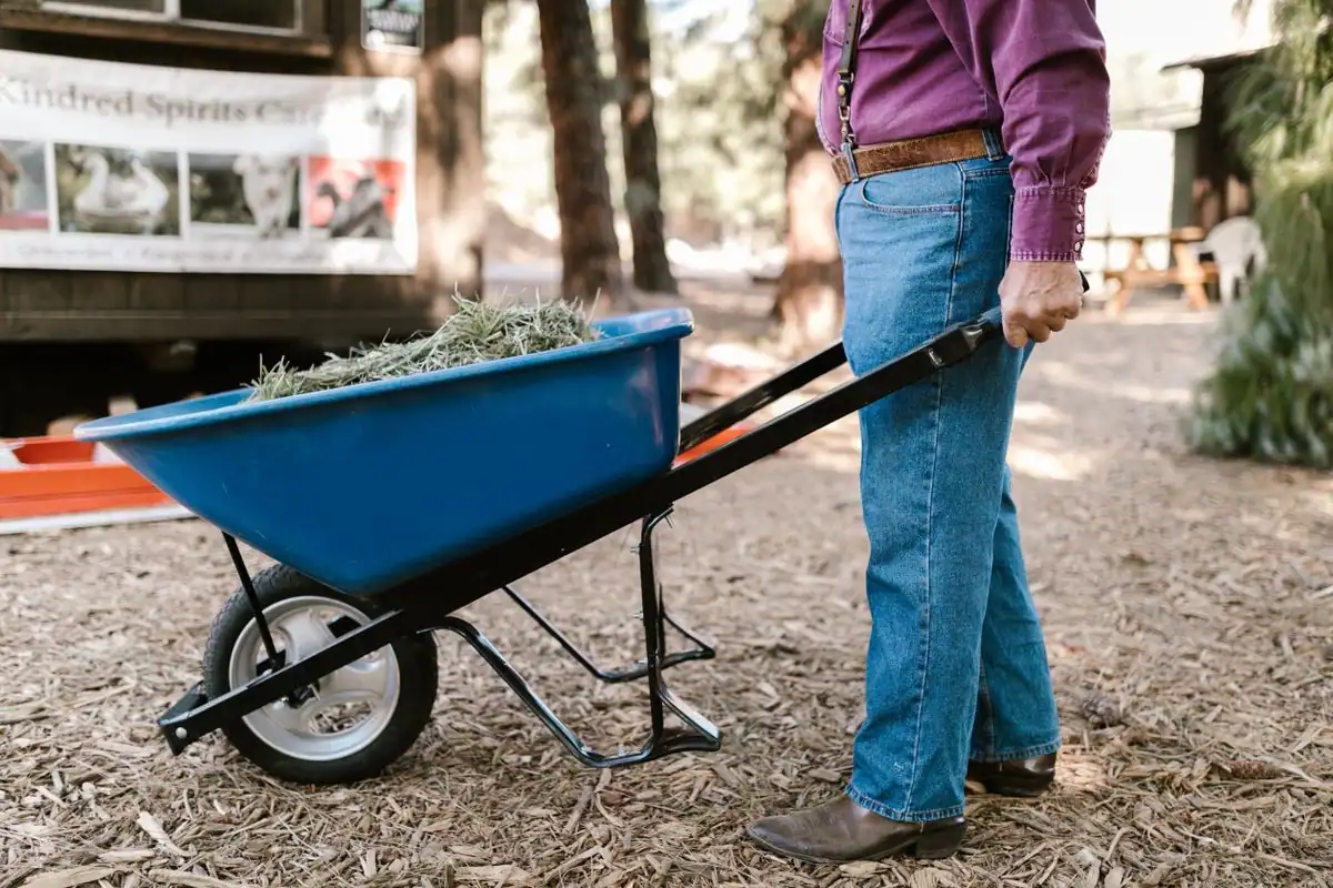 A man standing upright in jeans and boots, holding both handles of a loaded blue wheelbarrow close to his body